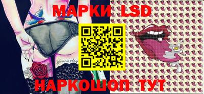 шишки Аргун