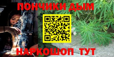 шишки Аргун