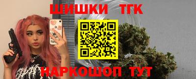 шишки Аргун